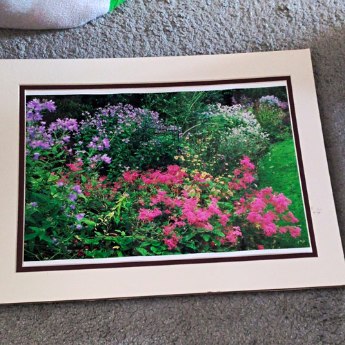 Floral garden flowers - print, on