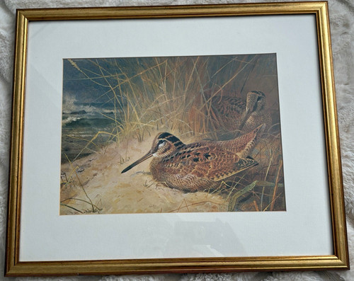 Vintage archibald thorburn - vintage,